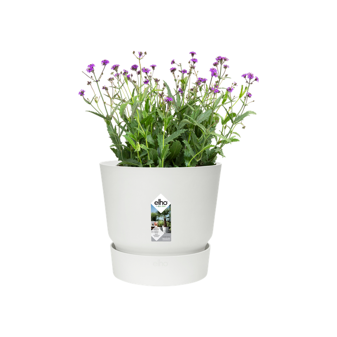 greenville round 18cm white